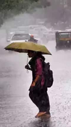 தமிழ்நாட்டின் கடலோர மாவட்டங்களில் மிதமான மழைக்கு வாய்ப்பு- வானிலை மையம்