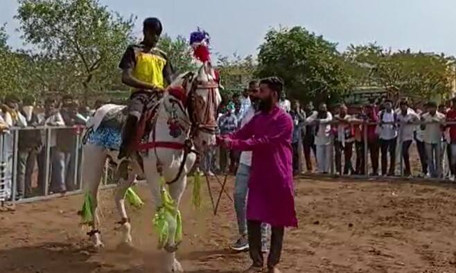 या बाजारात व्यापारी, खरेदीसाठी आणि विक्रीसाठी अनेक अश्वप्रेमी दाखल झाले आहेत.
