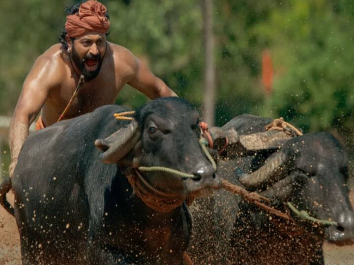 Rishab Shetty Kantara Hindi version has completed successful 100 days In Theatres Kantara: ऋषभ शेट्टी की 'कांतारा' ने सिनेमाघरों में पूरे किए 100 दिन, मेकर्स ने शेयर किया हैप्पी नोट