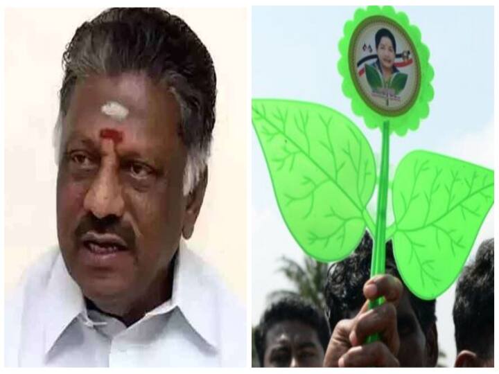 Erode East By-Election 2023 AIADMK OPS Likely to Contest in Two Leaves Symbol Erode East By-Election: ஈரோடு இடைத்தேர்தலில் இரட்டை இலை சின்னத்தில் போட்டியிட வாய்ப்பு - ஓ.பன்னீர்செல்வம்