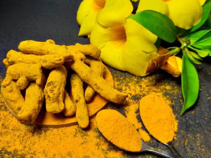 हळदीचा चहा वजन कमी करण्यासाठी फायदेशीर आहे. यामध्ये असलेले पोषक तत्व चयापचय वाढवण्याचे काम करतात. हळदीचा चहा प्यायल्याने कॅलरीज जलद बर्न होतात आणि वजन कमी होण्यास मदत होते. पोटाची चरबी कमी करायची असेल तर रिकाम्या पोटी हळदीचा चहा पिणे खूप फायदेशीर आहे.