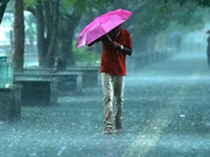 Unseasonal rain: Unseasonal rain forecast in North Gujarat on this day Unseasonal rain: ઉત્તર ગુજરાતના ખેડૂતો માટે માઠા સમાચાર, આ દિવસે કમોસમી વરસાદની કરાઇ આગાહી