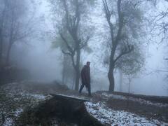 ఏపీలో ఈ ప్రాంతాల్లో పొగమంచు, ఉత్తర తెలంగాణలో కొనసాగుతున్న ఎల్లో అలర్ట్