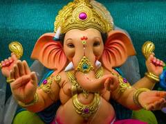 ਗਣੇਸ਼ ਜਯੰਤੀ 'ਤੇ ਘਰ 'ਚ ਲਗਾਓ ਇਹ ਬੂਟਾ, ਪਰਿਵਾਰ 'ਚ ਵਧੇਗਾ ਪਿਆਰ, ਝਗੜਾ ਅਤੇ ਤਣਾਅ ਹੋਵੇਗਾ ਘੱਟ