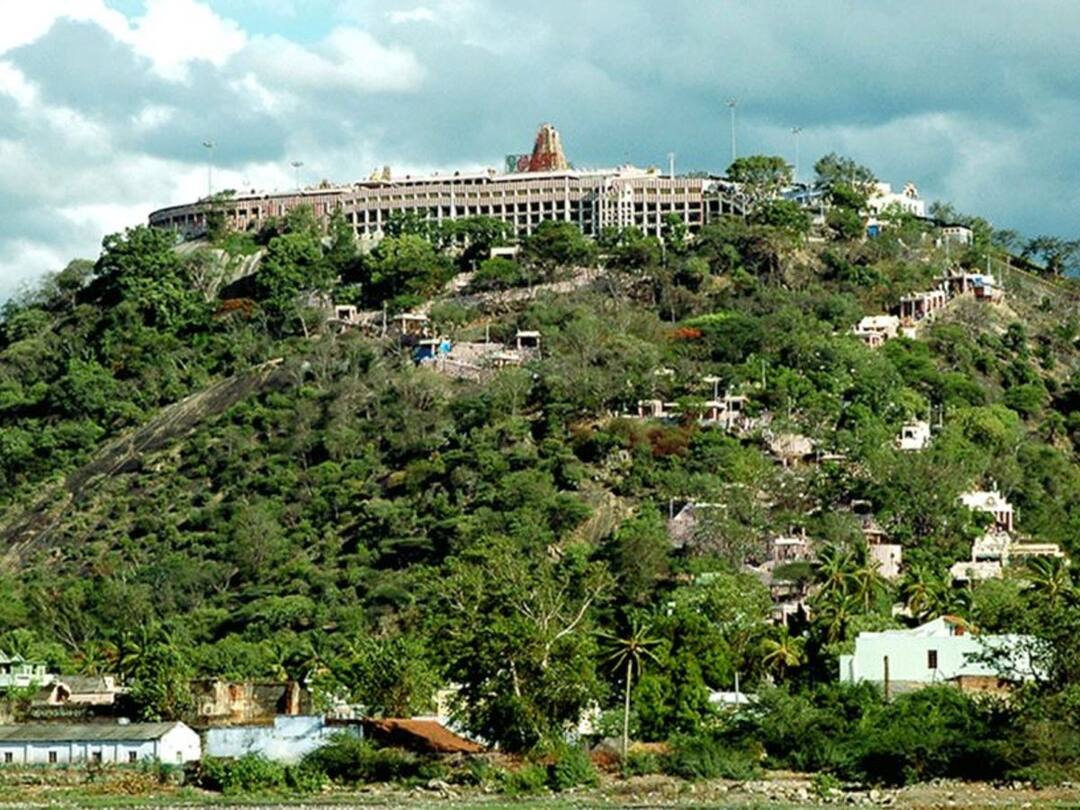 Palani Murugan Temple: வரும் 28ம் தேதி சந்திர கிரகணம்; பழனி முருகன் கோயிலில் பூஜை நேரம் மாற்றம்