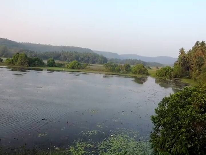 पक्षीप्रेमींच्या मते सतत बदलत असणाऱ्या वातावरणाचा फटका स्थलांतरित पक्षांना बसला आहे.