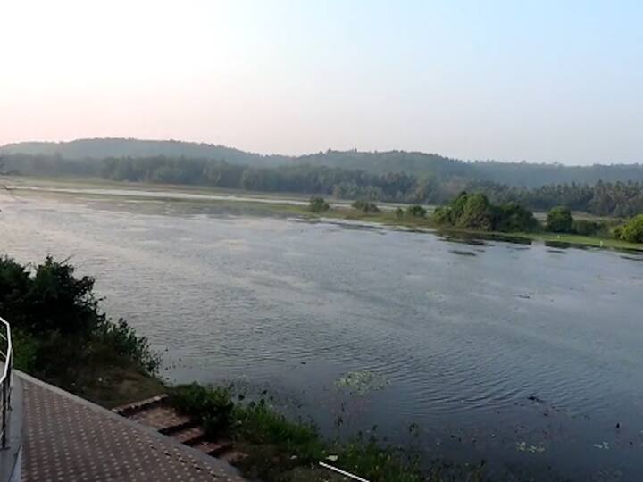 युरोप, मध्य आशिया आणि अमेरिका खंडातून हजारो किलोमीटर अंतर पार करुन मोठ्या प्रमाणात स्थलांतरित पक्षी कोकणात येतात.