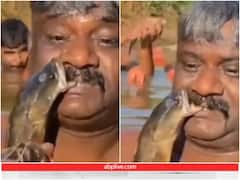 कभी किसी को मछली पकड़ते हुए देखा है? देखिए ये शख्स आखिर ये काम कैसे कर पा रहा है?