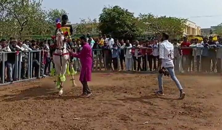 घोड्यांच्या 1 लाखापासून 15 लाखापर्यंत किमती आहेत. अजून 10 ते 15 दिवस घोडे बाजार सुरू असणार आहेत.