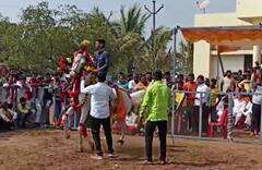 In Pics : जिकडे तिकडे घोडेच घोडे! इंदापुरात भरला घोड्यांचा बाजार; 'राजा' घोडा एकदा बघाच...