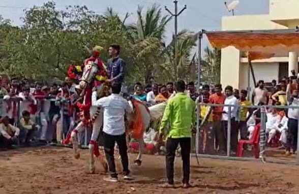 या बाजारात देशभरातून घोडे दाखल झाले आहेत.