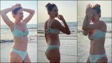 Kalki Koechlin: ਬਾਡੀ ਨੂੰ ਕਲਕੀ ਨੇ ਦੱਸਿਆ ਮਸ਼ੀਨ, ਬੀਚ 'ਤੇ ਬਿਕਨੀ 'ਚ ਮਸਤੀ ਕਰਨ ਦੀਆਂ ਤਸਵੀਰਾਂ ਹੋਈਆਂ ਵਾਇਰਲ