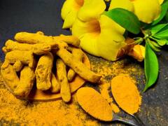 Turmeric Tea: चला जाणून घेऊया हळदीचा चहा पिण्याचे काय फायदे आहेत...