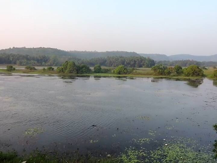 नोव्हेंबर ते जानेवारी हा पक्षांचा स्थलांतरीत होण्याचा काळ आहे.