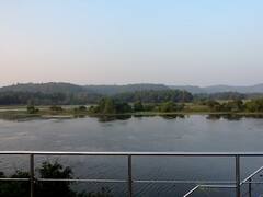 Sindhudurg Pat Lake : बदलत्या वातावरणाचा स्थलांतरित पक्ष्यांना फटका, पक्ष्यांचं नंदनवन पाट तलाव सुनंसुनं