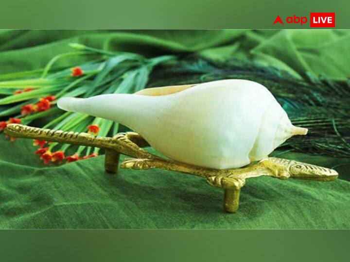 पांचजन्य शंख- यह भगवान श्रीकृष्ण का शंख होता है और बहुत ही दुर्लभ होता है. इसे विजय और यश का प्रतीक माना गया है. इसकी स्थापना से वास्तु दोष का निवारण होता है.