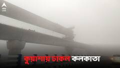 কলকাতায় 'অদৃশ্য' সব বাড়ি! ঘন কুয়াশার চাদরে ঢাকল তিলোত্তমা