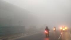 Weather Update: ভোর থেকে ঘন কুয়াশায় মোড়া শহর ও শহরতলি, দৃশ্য়মানতা কমে যাওয়ায় একাধিক জায়গায় দুর্ঘটনা