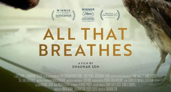 Oscar Nominations 2023: भारत की All That Breathes को डॉक्यूमेंट्री फीचर फिल्म कैटेगरी में मिला नॉमिनेशन Oscar Nominations 2023: भारत की All That Breathes को डॉक्यूमेंट्री फीचर फिल्म कैटेगरी में मिला नॉमिनेशन