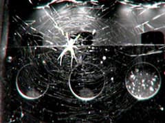 जब पहली बार स्पेस में मकड़ी ने बुना था जाल, जानिए क्या था यह अजीबोगरीब मिशन