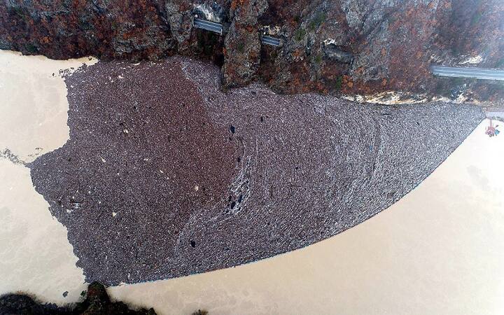 શિયાળા અને વરસાદની મોસમમાં બોસ્નિયા, સર્બિયા અને મોન્ટેનેગ્રોમાં વહેતી આ નદી ખતરાના નિશાનથી ઉપર વહેવા લાગે છે. જેના કારણે ઘણી વખત પૂર આવે છે.