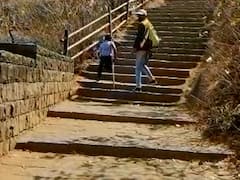 Pimpri Chinchwad : एक पाय निकामी, तरीही रायगड किल्ला सर; 11 वर्षाच्या ओमकारची जिद्द