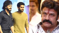 Akkineni Family Reacts on Balakrishna Comments : హుందాగా సమాధానమిచ్చిన నాగచైతన్య, అఖిల్