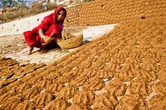 ক্ষতিকরক রশ্মির হাত থেকে বাঁচতে ঘুঁটে দিয়ে বাড়ি ঢাকুন! জানাল গুজরাত আদালত