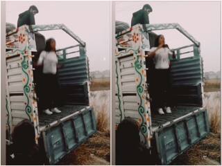 Video: 'पतली कमरिया मोरी' पर रील बनाने के लिए ट्रक पर चढ़ी लड़की, फिर सीधी नीचे गिरी! देखें ये वीडियो