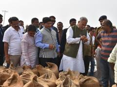 छत्तीसगढ़: धान खरीदी का टूटा रिकॉर्ड! लक्ष्य के करीब पहुंची छत्तीसगढ़ सरकार, जानें अब तक कितने मैट्रिक टन की हुई खरीदी