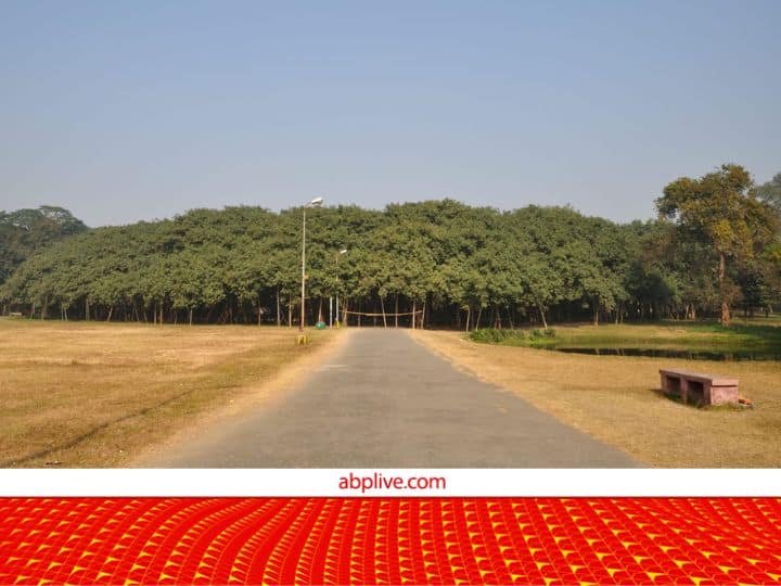 The great banyan tree is The worlds widest tree is in India its width is thousands of feet Intresting facts about nature भारत में यहां है दुनिया का सबसे चौड़ा पेड़, हजारों फीट है इसकी चौड़ाई, ऐसा दिखता है