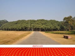 भारत में यहां है दुनिया का सबसे चौड़ा पेड़, हजारों फीट है इसकी चौड़ाई, ऐसा दिखता है