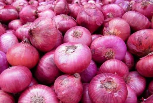 बुलढाण्यात कांदा लागवडीला वेग