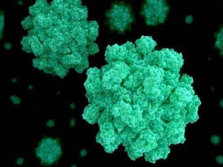 Norovirus outbreak in Kerala Symptoms transmission treatment precautions all you need to know Noro Virus : 19 மாணவர்கள் நோரோ வைரஸால் பாதிப்பு… மீண்டும் பரவுகிறதா கொடிய வைரஸ்! எப்படி பாதுகாப்பது? அறிகுறிகள் என்னென்ன?