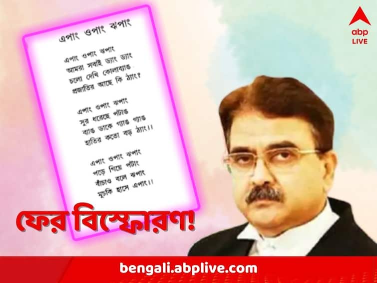 Calcutta High Court Justice Abhijit Ganguly mocks Mamata Banerjee's poems asks library not to keep those kind of books Justice Abhijit Ganguly:  'এপাং-ওপাং-ঝপাং...! এমন অখাদ্য জিনিস রাখবেন না', বিচারপতি গঙ্গোপাধ্যায়ের মন্তব্যে বিতর্ক