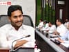 YS Jagan Review: ఏపీలో ప్రతి పశువుకూ హెల్త్‌ కార్డ్ - అధికారులకు సీఎం జగన్ సూచనలు
