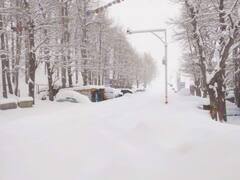 In Photos: बर्फबारी से गुलजार हिमाचल प्रदेश के पहाड़, यह खूबसूरत तस्वीरें मोह लेंगी आपका मन