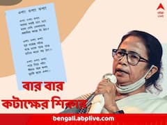 ‘ওপাং ওপাং ঝপাং’, ‘হরে করে কম্বা’, কেন লেখেন এমন কবিতা, ব্যাখা করেছেন মমতা নিজেই