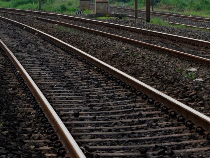 Fencing work started on Mumbai-Ahmedabad route to prevent accidents caused by collision of animals Mumbai: जानवरों के टकराने के हादसे पर लगेगी लगाम, मुंबई-अहमदाबाद रूट पर फेंसिंग का काम शुरू