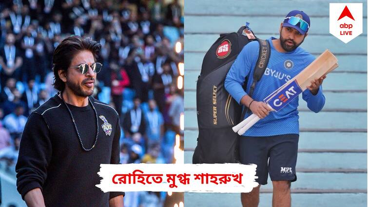 IND v NZ 2023: Shah Rukh Khan's one-line description of Rohit Sharma goes viral after skipper's ton in 3rd ODI Shah Rukh On Rohit: 'পাঠান' মুক্তির মাঝেই রোহিতকে প্রশংসায় ভরালেন কিং খান