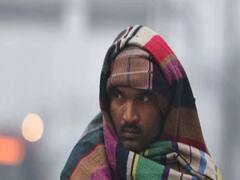 मुंबईसह राज्यात थंडी कायम, काही भागात किंचित दिलासा, वाचा कोणत्या जिल्ह्यात किती तापमान? 