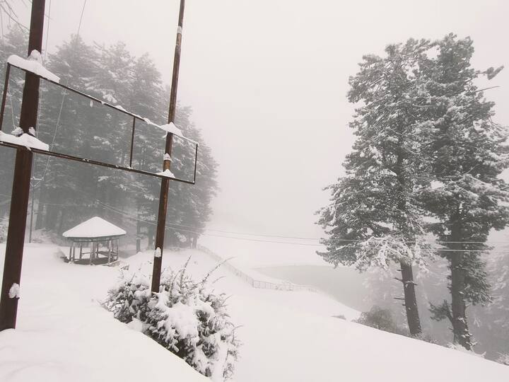 The temperature in Srinagar fell to zero degrees Celsius, up from minus 2.3 degrees Celsius. Officials reported a low of minus 0.2 degrees Celsius in Qazigund, the gateway to the Kashmir Valley. (Image Source: Twitter/@SeedOfTopology)