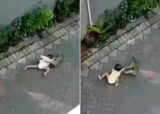 Shocking Video: ਘਰ ਦੇ ਬਾਹਰ ਬੈਠੇ ਬੱਚੇ ਨੂੰ ਘਸੀਟ ਕੇ ਲੈ ਗਿਆ ਬਾਂਦਰ ਤੇ ਫਿਰ ..ਵੀਡੀਓ ਦੇਖ ਤੁਹਾਡੇ ਹੋਸ਼ ਉੱਡ ਜਾਣਗੇ