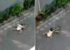 Shocking Video: ਘਰ ਦੇ ਬਾਹਰ ਬੈਠੇ ਬੱਚੇ ਨੂੰ ਘਸੀਟ ਕੇ ਲੈ ਗਿਆ ਬਾਂਦਰ ਤੇ ਫਿਰ ..ਵੀਡੀਓ ਦੇਖ ਤੁਹਾਡੇ ਹੋਸ਼ ਉੱਡ ਜਾਣਗੇ
