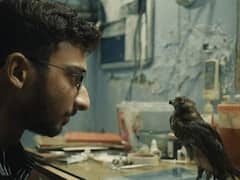 ఆస్కార్ కు ‘ఆల్ దట్ బ్రీత్స్’ నామినేట్, ఈ డాక్యుమెంటరీ ప్రత్యేకతలు ఏంటో తెలుసా?