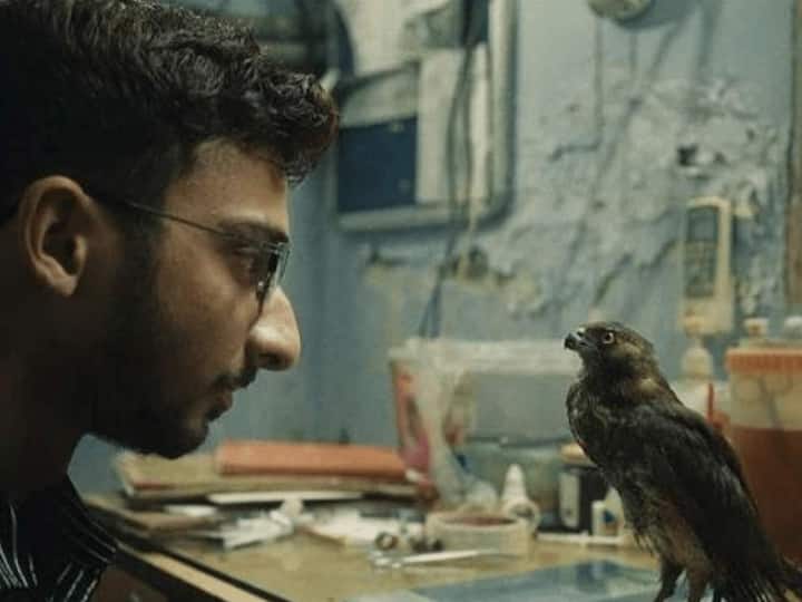 Shaunak Sen’s All That Breathes scores a nom for India in Documentary Feature Film category Oscars nominations 2023: ఆస్కార్ కు ‘ఆల్ దట్ బ్రీత్స్’ నామినేట్, ఈ డాక్యుమెంటరీ ప్రత్యేకతలు ఏంటో తెలుసా?
