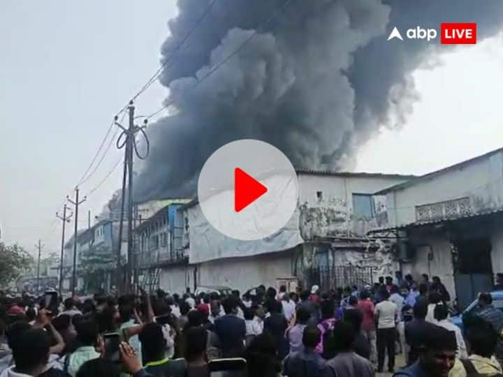 Mumbai Vasai Phata Fire in Company smoke billows everywhere watch video Mumbai Fire News: मुंबई के वसई फाटा इलाके में लगी आग, हर तरफ धुएं का गुबार, देखें वीडियो