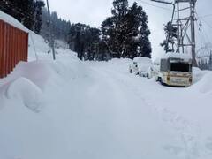 In Photos: बर्फबारी से गुलजार हिमाचल प्रदेश के पहाड़, यह खूबसूरत तस्वीरें मोह लेंगी आपका मन