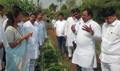 In Pics :  सुप्रिया सुळे बैलगाडीतून स्ट्रॉबेरीच्या शेतात