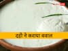 Begusarai Curd: बेगूसराय में श्राद्ध कर्म में दही घटने पर हंगामा, भोज में खा रहे लोगों पर चावल सहित खौलता पानी फेंका